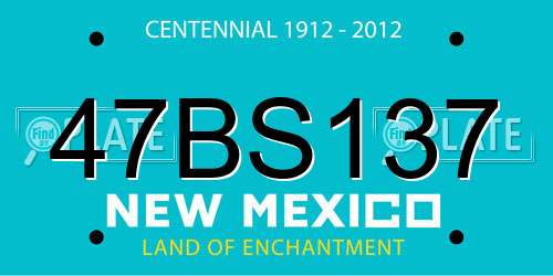 47BS137 New Mexico License Plate