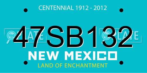 47SB132 New Mexico License Plate