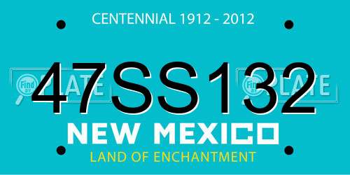 47SS132 New Mexico License Plate