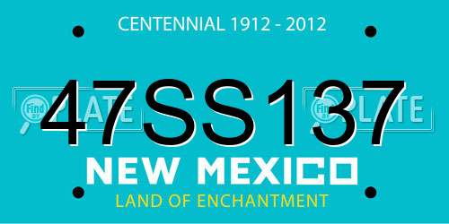47SS137 New Mexico License Plate