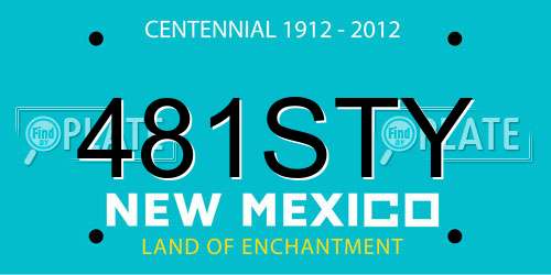 481STY New Mexico License Plate