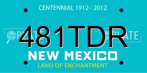 481TDR New Mexico License Plate