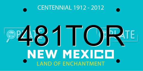 481TOR New Mexico License Plate