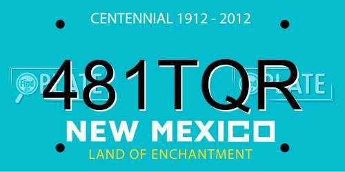 481TQR New Mexico License Plate