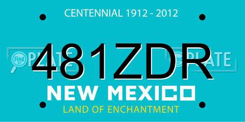 481ZDR New Mexico License Plate