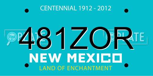 481ZOR New Mexico License Plate
