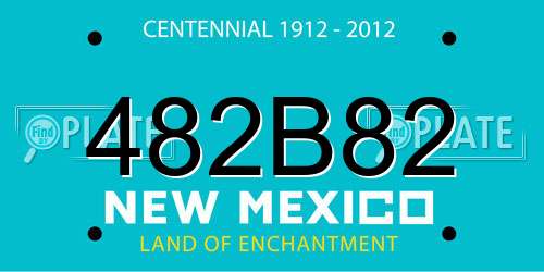 482B82 New Mexico License Plate