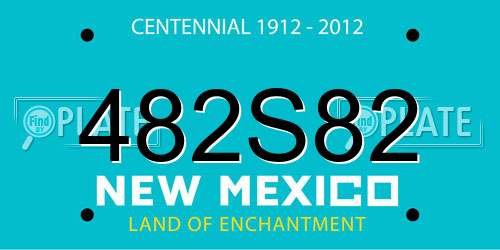 482S82 New Mexico License Plate