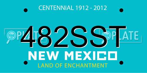 482SST New Mexico License Plate