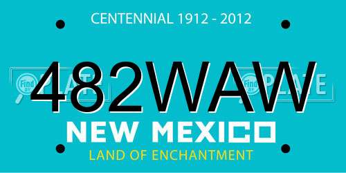 482WAW New Mexico License Plate