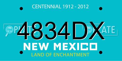 4834DX New Mexico License Plate