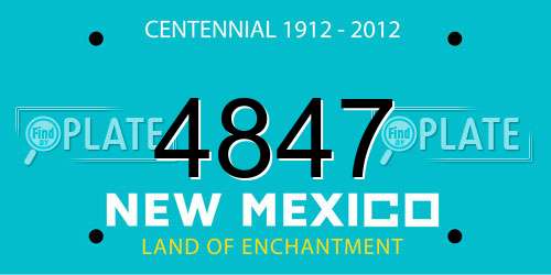 4847 New Mexico License Plate