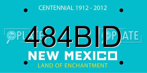 484BID New Mexico License Plate