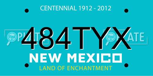 484TYX New Mexico License Plate