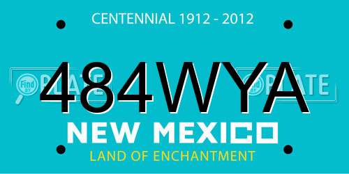 484WYA New Mexico License Plate