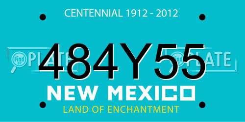 484Y55 New Mexico License Plate
