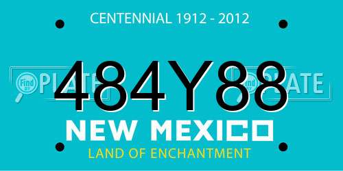 484Y88 New Mexico License Plate