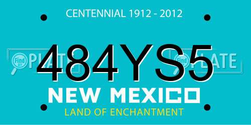 484YS5 New Mexico License Plate