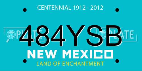 484YSB New Mexico License Plate