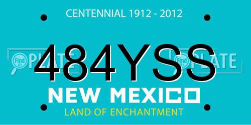 484YSS New Mexico License Plate