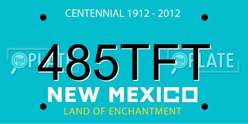 485TFT New Mexico License Plate