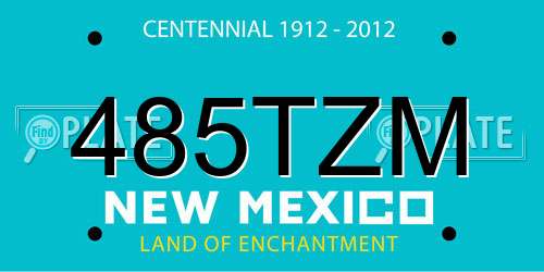 485TZM New Mexico License Plate