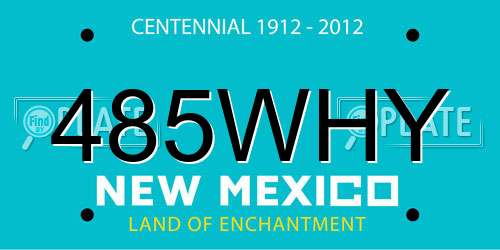 485WHY New Mexico License Plate