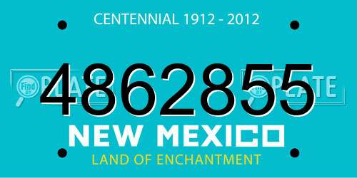 4862855 New Mexico License Plate