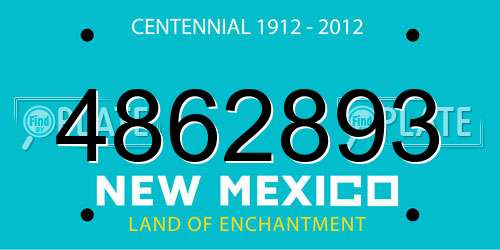 4862893 New Mexico License Plate
