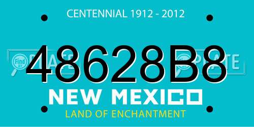 48628B8 New Mexico License Plate