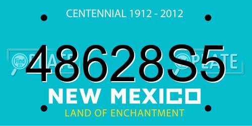 48628S5 New Mexico License Plate