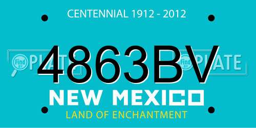 4863BV New Mexico License Plate