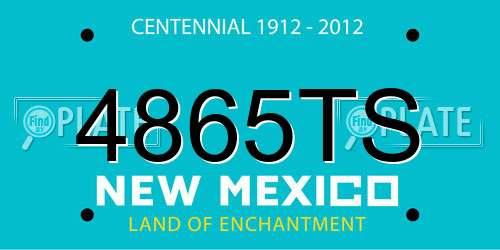 4865TS New Mexico License Plate