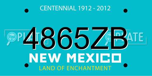 4865ZB New Mexico License Plate