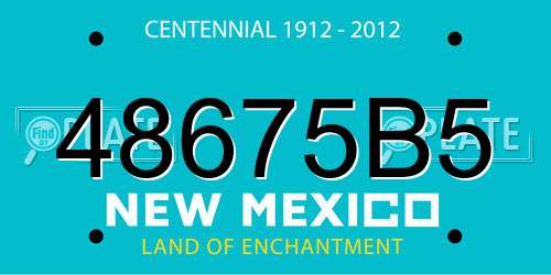 48675B5 New Mexico License Plate