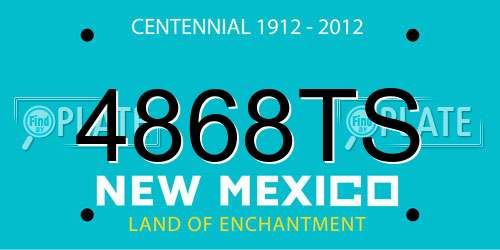 4868TS New Mexico License Plate