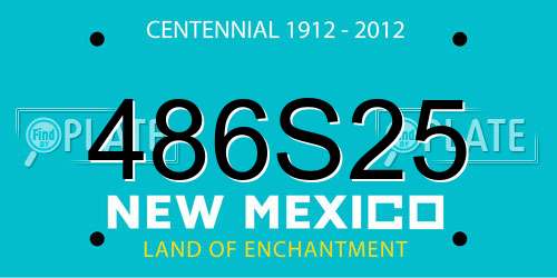 486S25 New Mexico License Plate