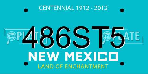 486ST5 New Mexico License Plate
