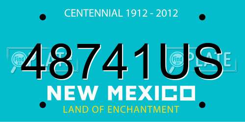 48741US New Mexico License Plate