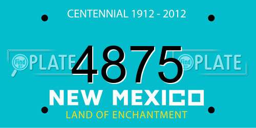 4875 New Mexico License Plate