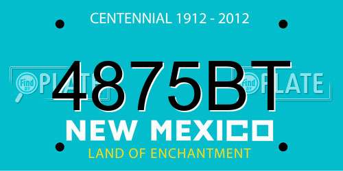 4875BT New Mexico License Plate