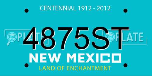 4875ST New Mexico License Plate