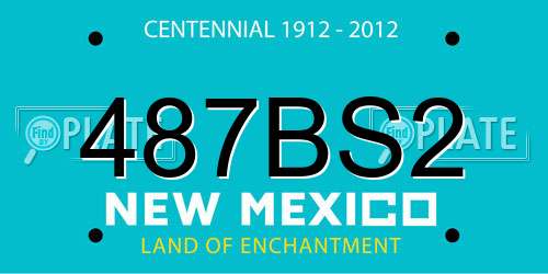 487BS2 New Mexico License Plate