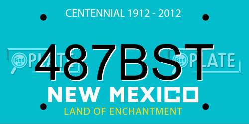 487BST New Mexico License Plate