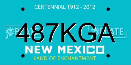 487KGA New Mexico License Plate