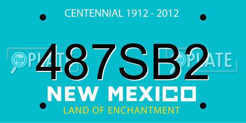 487SB2 New Mexico License Plate