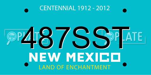 487SST New Mexico License Plate