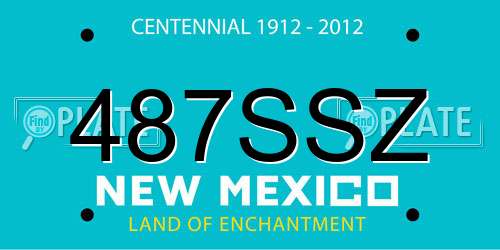 487SSZ New Mexico License Plate