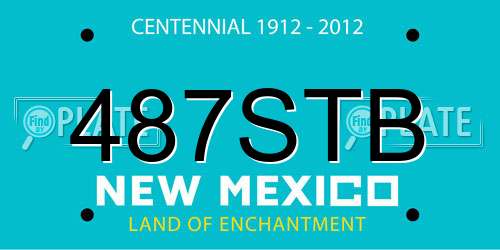 487STB New Mexico License Plate