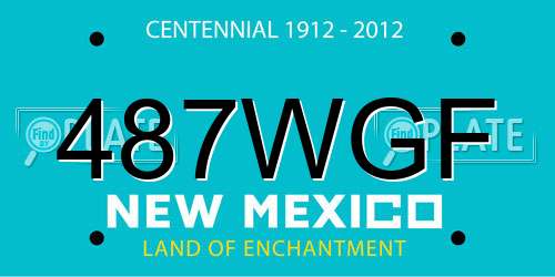 487WGF New Mexico License Plate